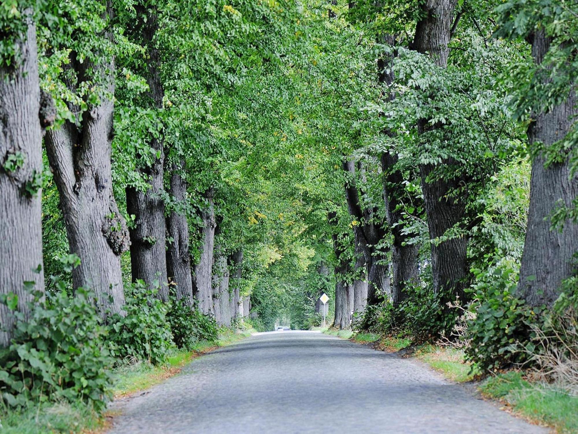 Gutshaus Zicker In Garz Villa Garz  Eksteriør billede